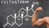 Testosteron – jen mužský hormon?